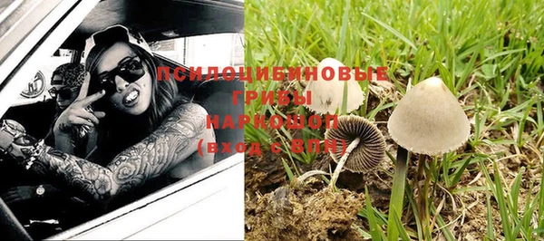 гашик Абдулино