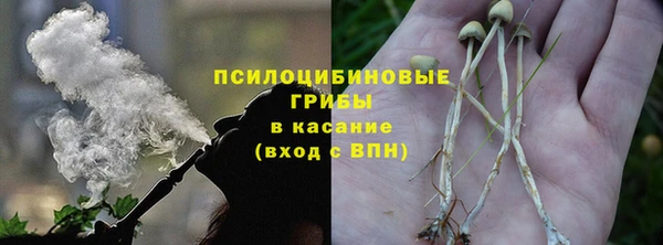 стаф Новодвинск