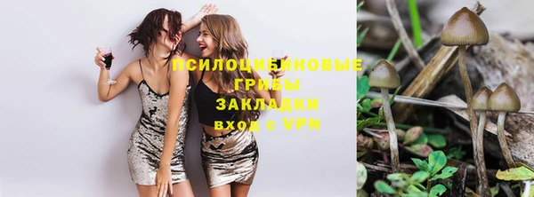 амф Абинск