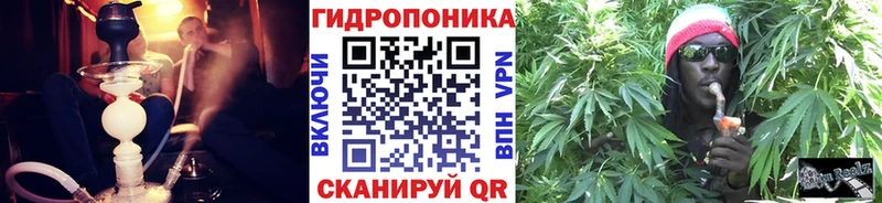 нарко площадка телеграм  где купить   Фурманов  Конопля гибрид 
